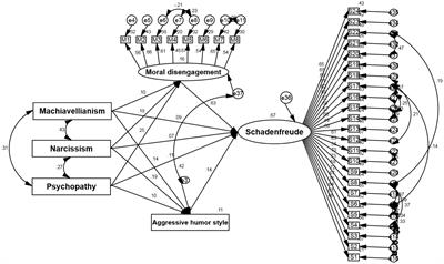 The mediating effects of moral disengagement and aggressive humor style: Dark Triad traits and schadenfreude